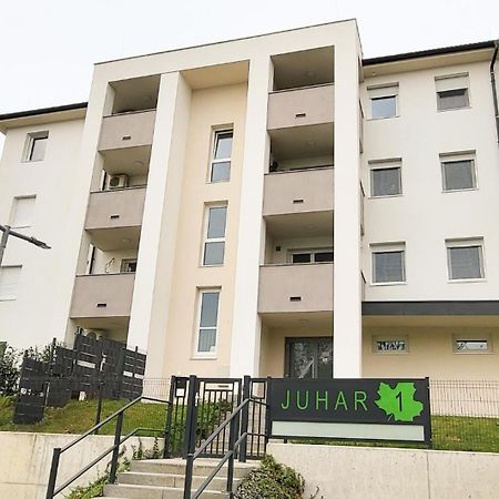 Juhar 1 Apartman Kőszeg Екстериор снимка